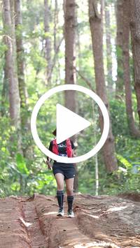 BIB:  <button type="button" onclick="openModal(26569762)" class="btn btn-primary btn-sm float-right" data-toggle="modal" data-target=".modal-high-quality">
                <i class="fa fa-download"></i> Download
                </button>